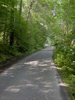 Petřvald - Petřvaldík-cyklotrasa Greenways