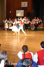 Národní krojový ples