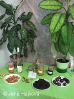 Výstava ovoce, zeleniny a květin