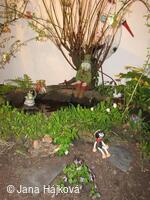 Klub zahradkářů Trnávka uspořádal 2. ročník jarní výstavky